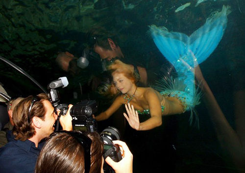 澳大利亞 美人魚(yú) 悉尼 水族館