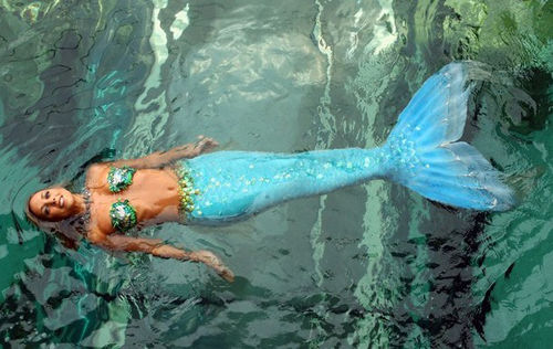 澳大利亞 美人魚(yú) 悉尼 水族館