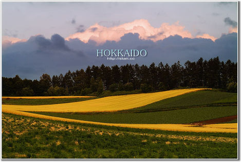 《非誠(chéng)勿擾》 外景地 游客 春節(jié) 北海道線路 風(fēng)光