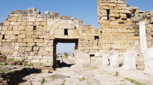  ޻   Ȫ