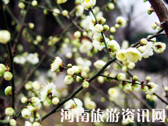 u䪚(d) Gɽ@ ÷