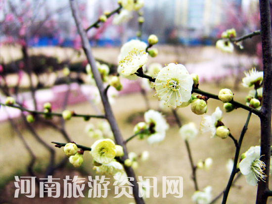 u䪚(d)  Gɽ@ ÷