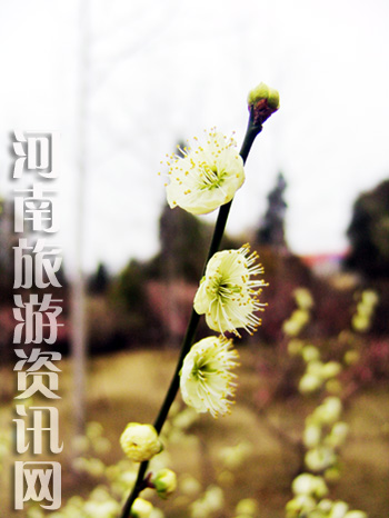 u䪚  Gɽ@ ÷