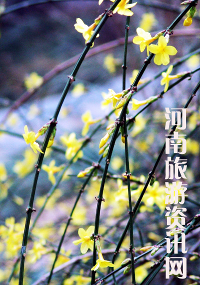 紺   ע 