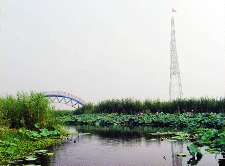 DƬ