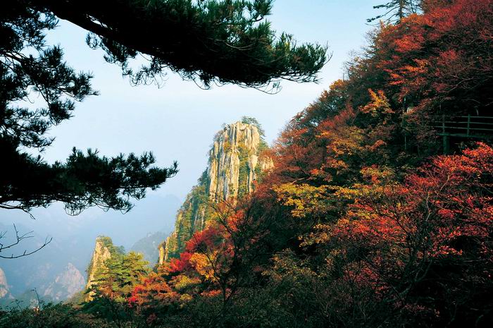 “紅”色當(dāng)家別具“楓”情 河南觀紅葉景區(qū)推薦