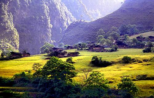 GV o֮