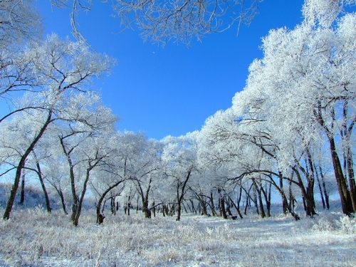 圣誕節(jié)去哪兒玩?全球十大圣誕旅游目的地推薦