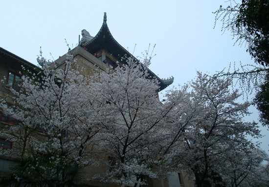 ѻ  hW(xu)