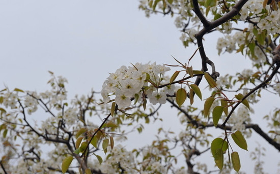 p滨 ֮l(xing)gӭ