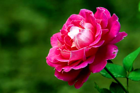 ݣʮŌ¼չ28¼@_(ki)Ļ