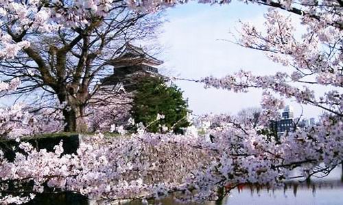 我和鮮花的約會(huì) 三月旅游賞花大攻略
