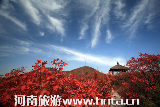 2015꽹t~(ji)_Ļ