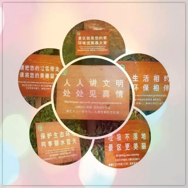 ̤pӽӴل(chung)¸